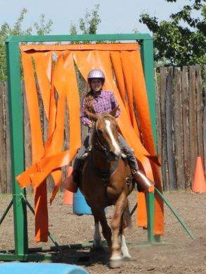 horse obstacle curtains