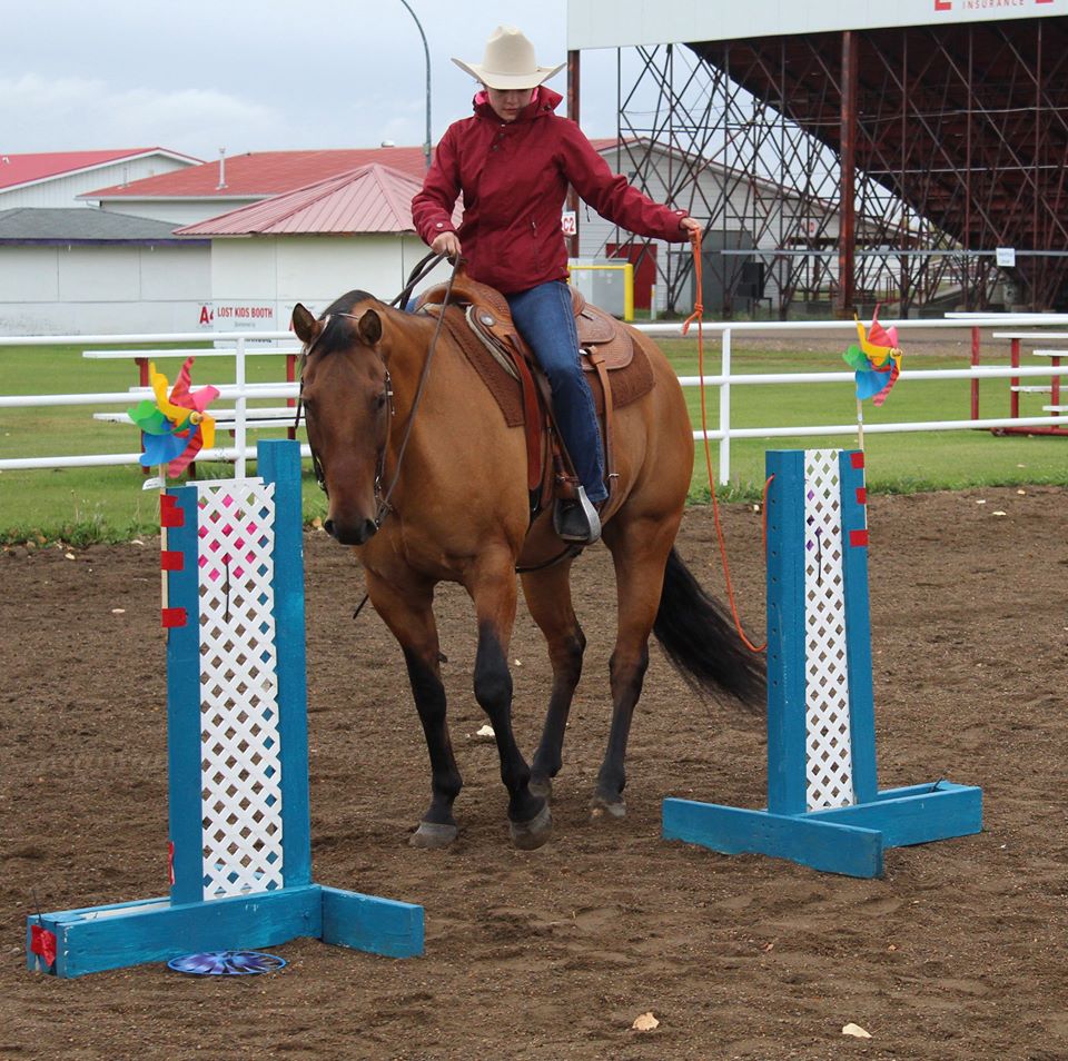 horse challenge open close rope gate