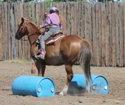 back up barrels horse challenge