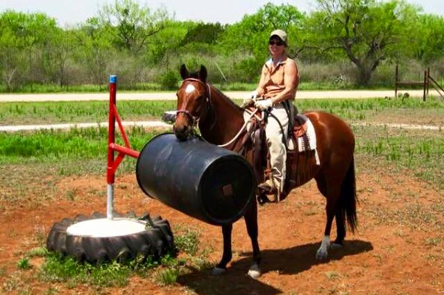 barrel go round horse obstacle challenge