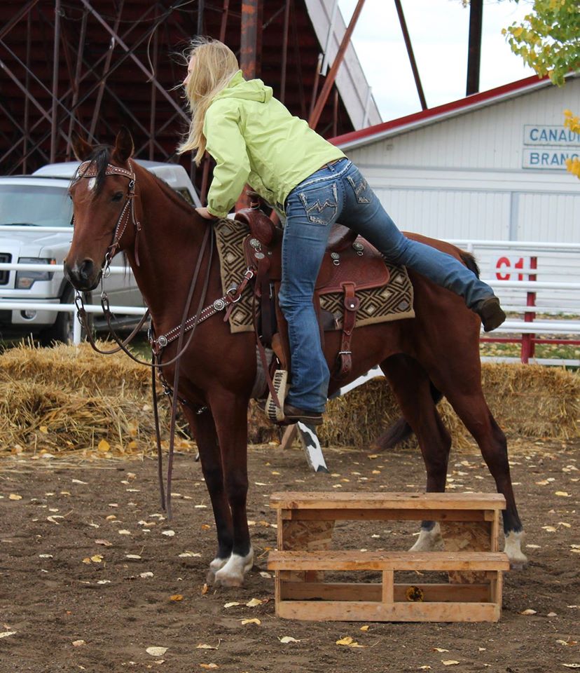 horse challenge dismount horse