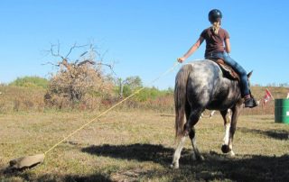 drag sack horse challenge