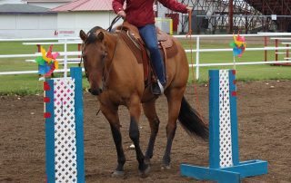 horse challenge open close rope gate