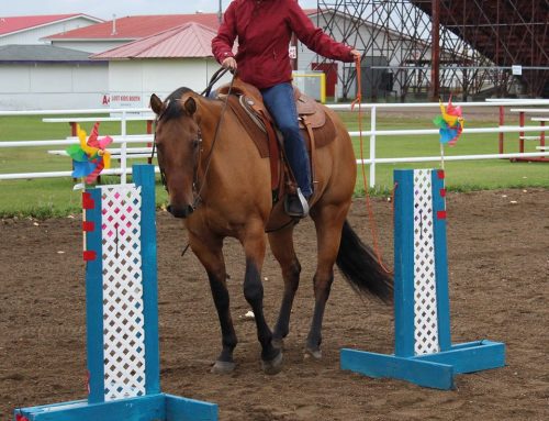 The Rope Gate Obstacle