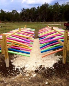 horse wash car pool noodles obstacle