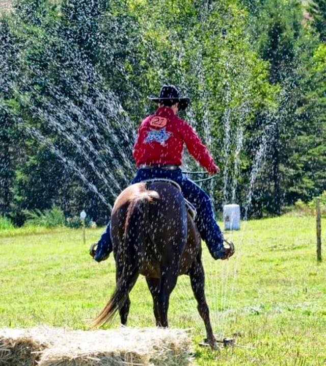 water sprinkler horse obstacle