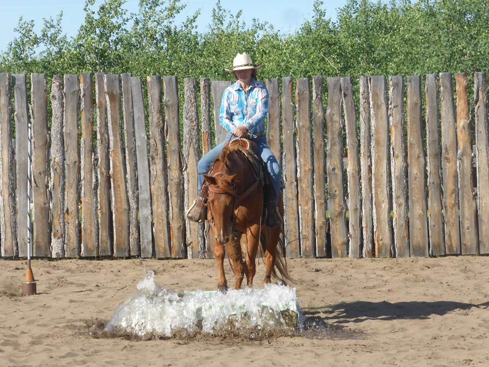 water box floating obstacle horse competition