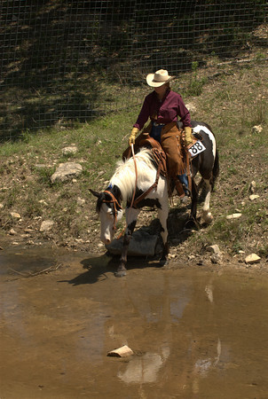 horse entering river on trail