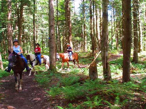 Horse Trail Riding Camping