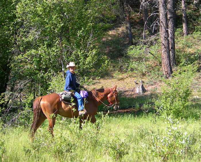 Horse Trail Riding Campground