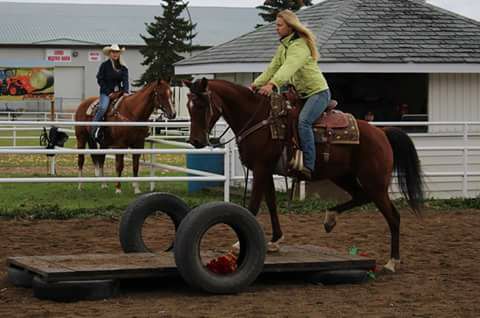 Canadian Cowboy Challenge Competition Horse Show