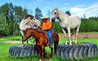 2017 Glenn Stewart Horsemanship Clinic