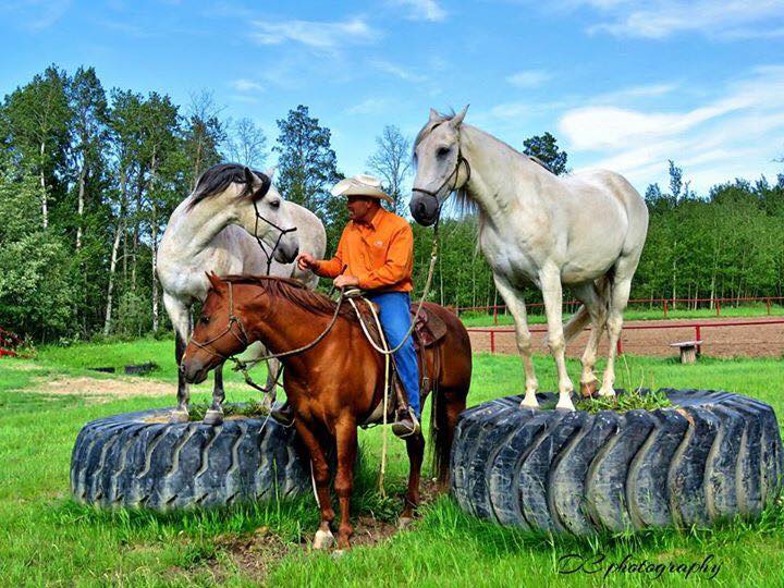 2017 Glenn Stewart Horsemanship Clinic