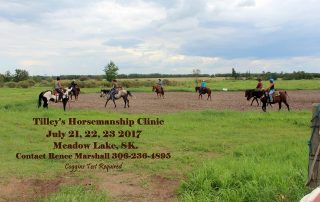 2017 Horsemanship Clinic Meadow Lake SK