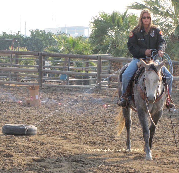 horse dragging tire