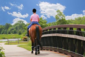 horse crossing bridge