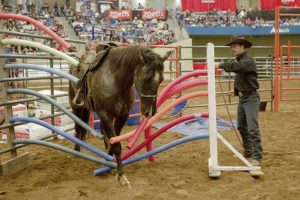 Calgary Stampede Cowboy Up Challenge