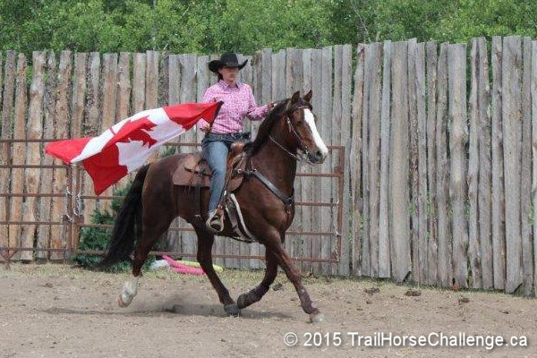 Horseback Rider Carrying Flag